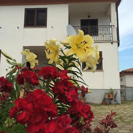 Apartments Bodi Rovinj Eksteriør bilde